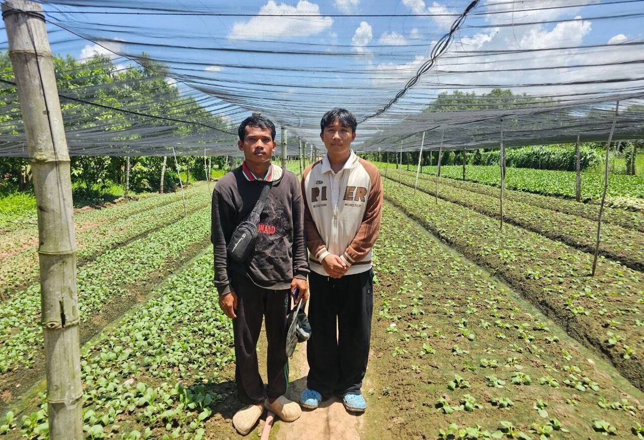 Vegetable plots